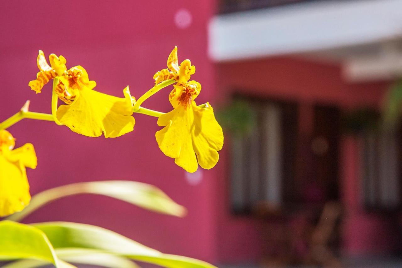 Suites Las Flores Maresias Exterior photo